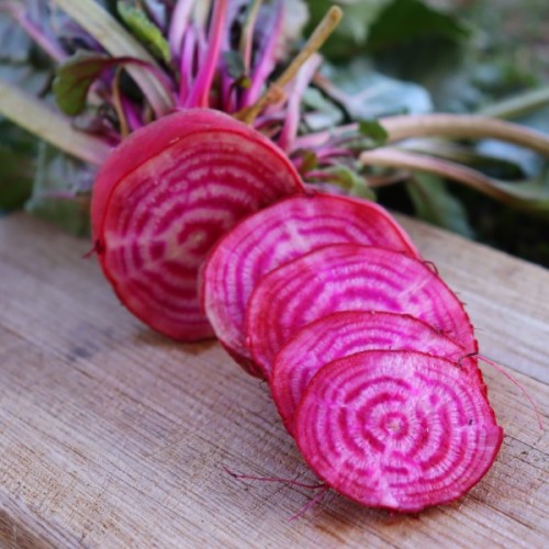 Chioggia Beetroot