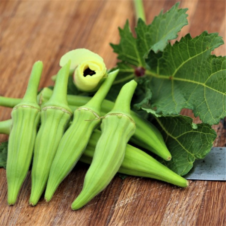 Clemson Spineless Okra