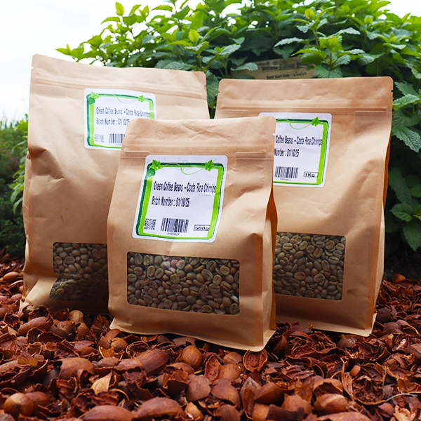 Green Coffee Beans - Costa Rica Chirripo Green Coffee Beans - Costa Rica Chirripo