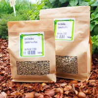 Green Coffee Beans - Guatemala Finca el Rincon Green Coffee Beans - Guatemala Finca el Rincon