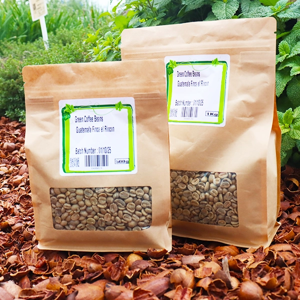 Green Coffee Beans - Guatemala Finca el Rincon