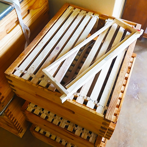 Complete Super Chamber Complete Super Chamber