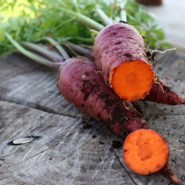 Cosmic Purple Carrot