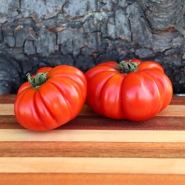 Costoluto Genovese Tomato