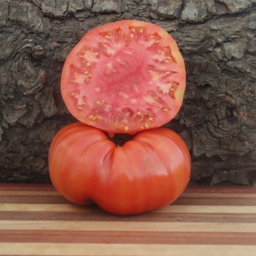 Cuostralee Tomato