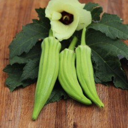 Cow Horn Okra