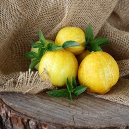 Lemon Cucumber