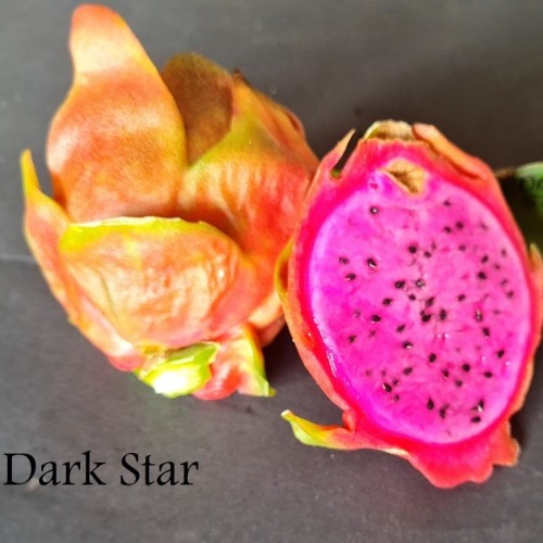 Dragon Fruit Dark Star