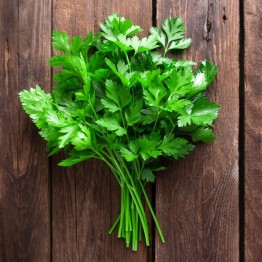 Dark Green Italian Parsley