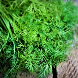 Dill, Etherio