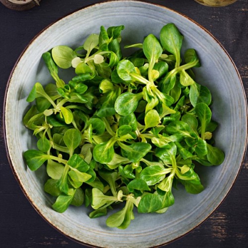 Dutch Corn Salad
