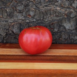 German Head Tomato