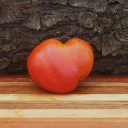 German Red Strawberry Tomato