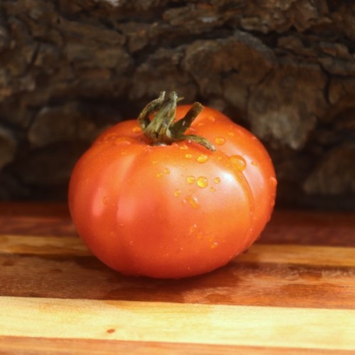 Giant Belgium Tomato