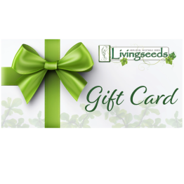 R100 Gift Voucher