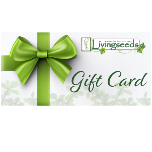 R500 Gift Voucher