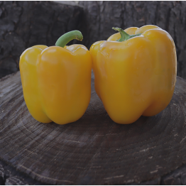 Golden California Wonder Sweet Pepper