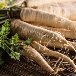 Harris Model Parsnips