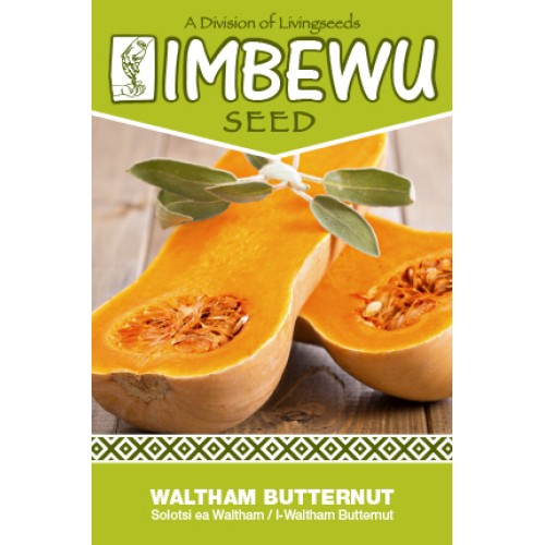 IMBEWU Butternut