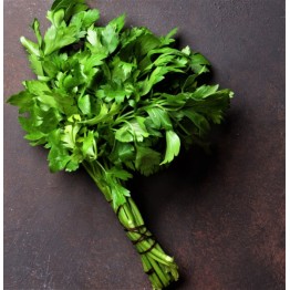 Parsley, Italian Flat Leaf