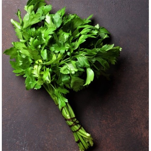 Italian Parsley (Flat Leaf)