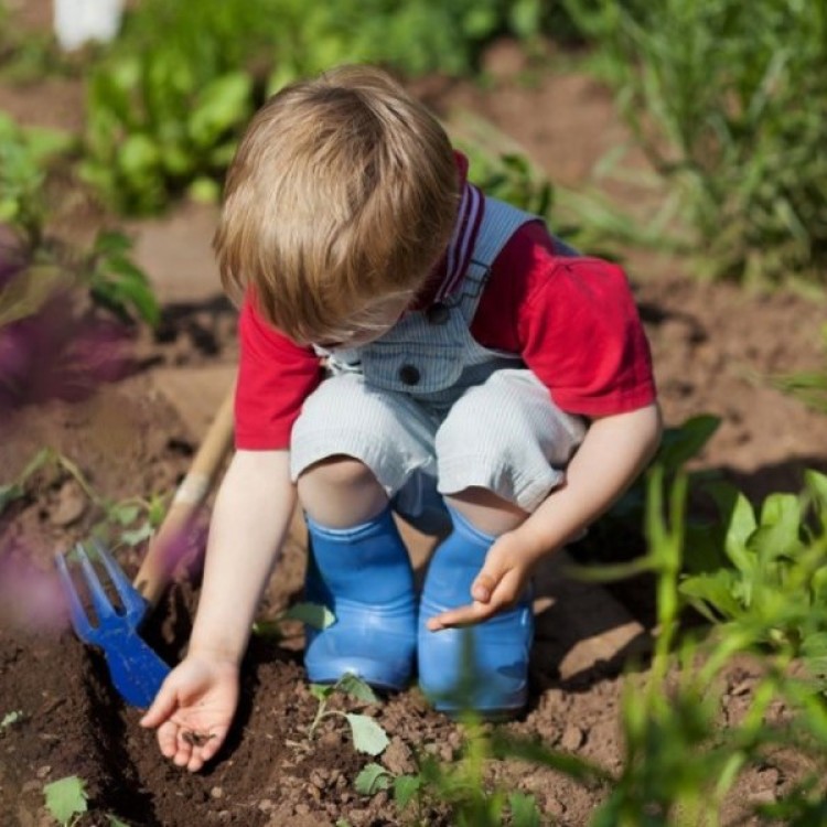 The Junior Gardeners Kit