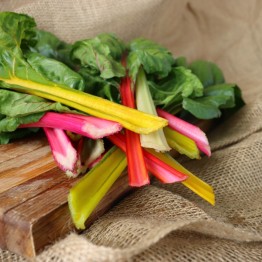 Swiss Chard Kaleidoscope