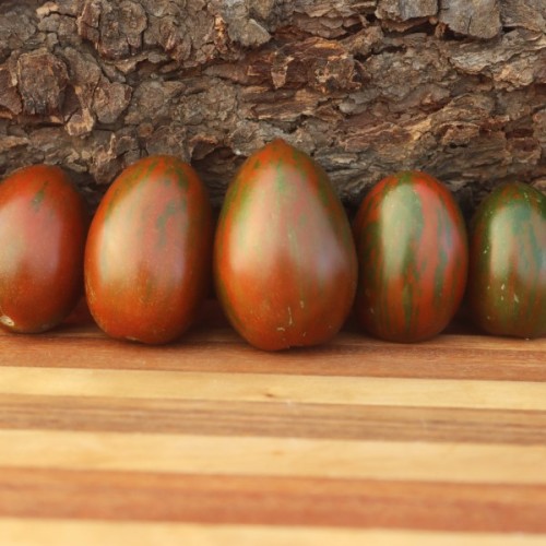 Kamberg Black Tomato