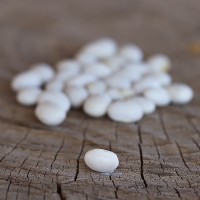 Kayera Bean