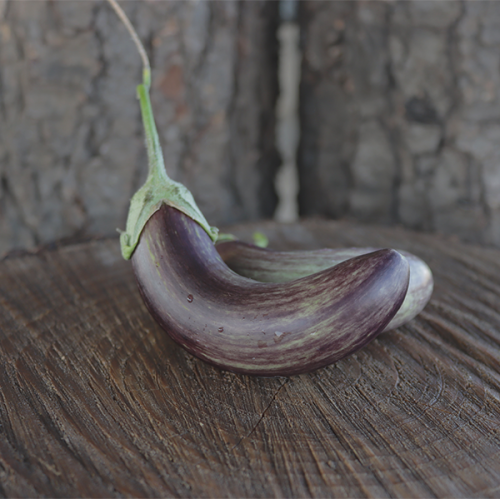 Little Finger Brinjal