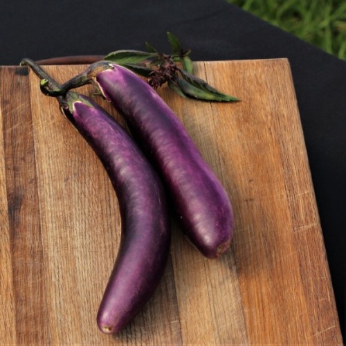 Long Purple Brinjal