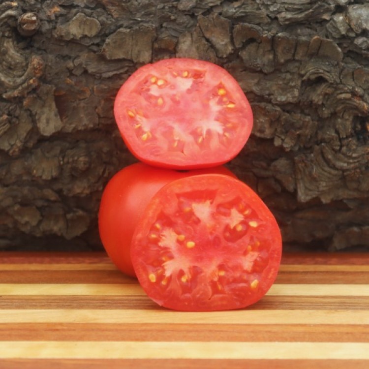 Marglobe Tomato