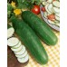 Marketmore Cucumber