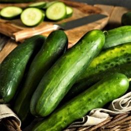 Marketmore Cucumber