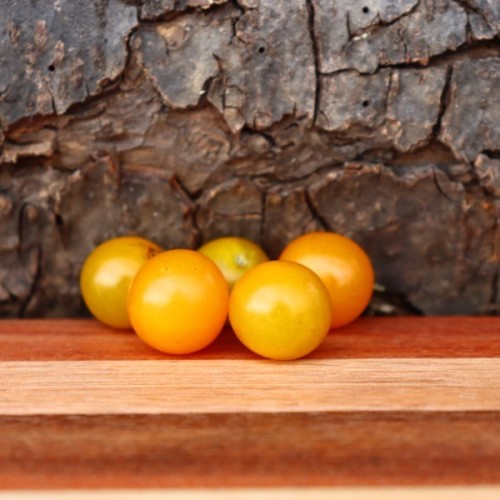 Matt's Wild Cherry Yellow Tomato