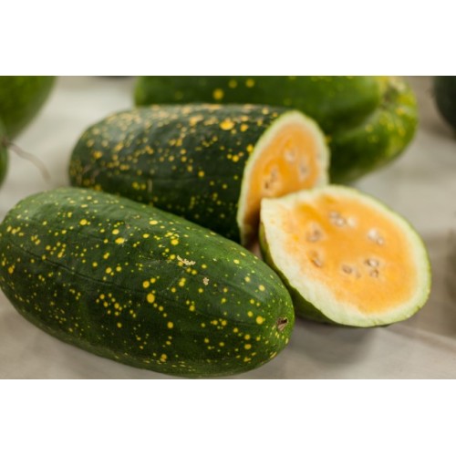 Moon and Stars Yellow Watermelon