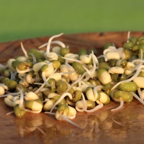 Mung Beans 200 gr