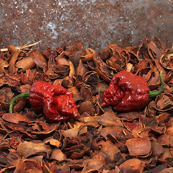 Naga Brain Rust
