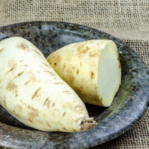 Ndou Sweet Potato Runners