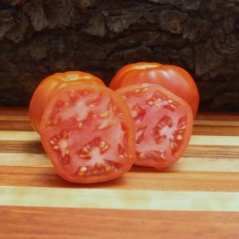 Nepal Tomato