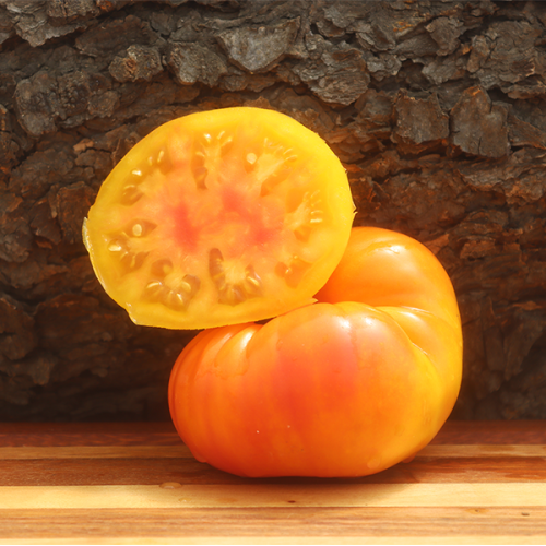 Northern Lights Tomato