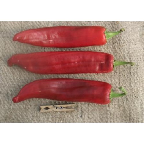 NuMex Big Jim