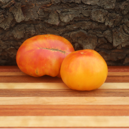 Oaxacan Jewel Tomato (Potato-Leaf)