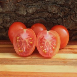 Ocerion Red Plum Tomato