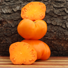 Orange Flute Tomato