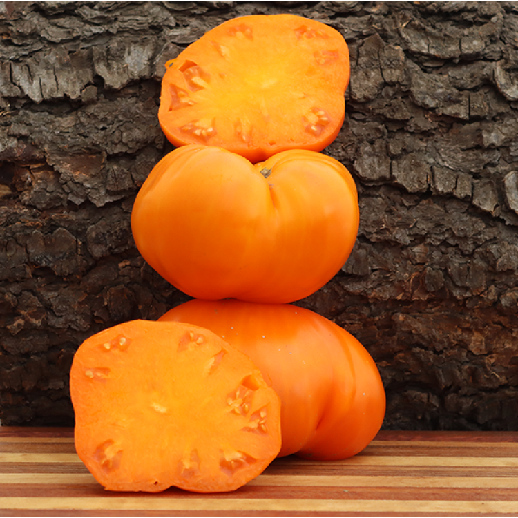 Orange Flute Tomato