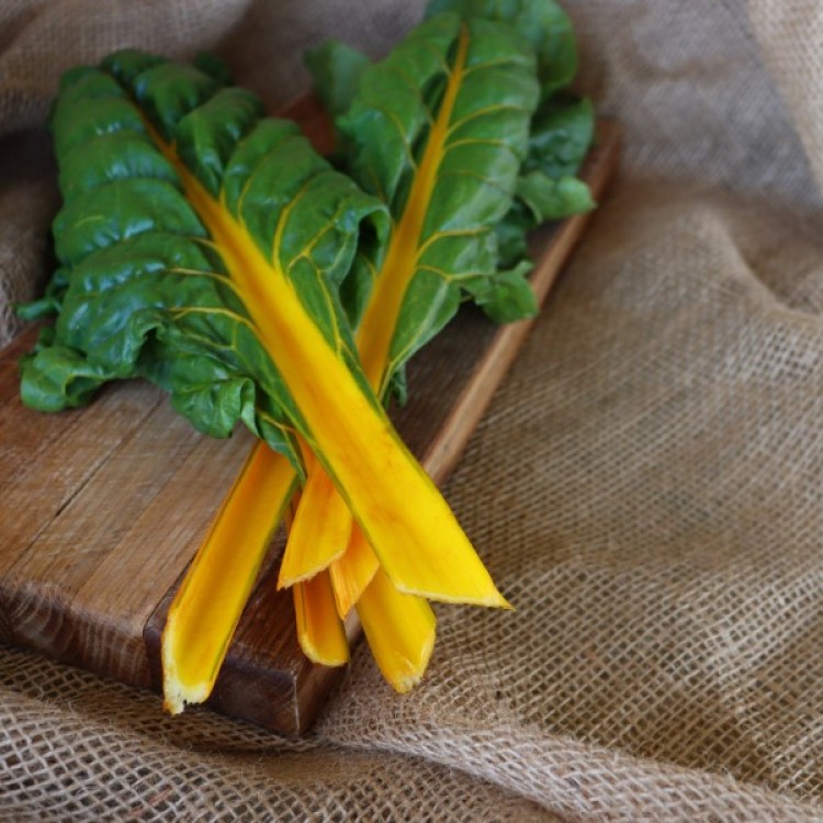 Orange Fantasia Swiss Chard