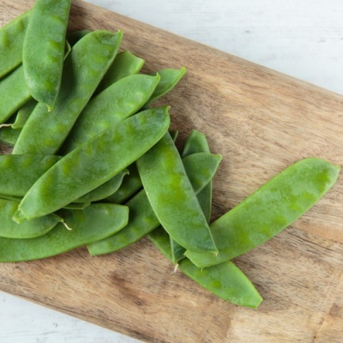 Oregon Sugar Pod II Peas
