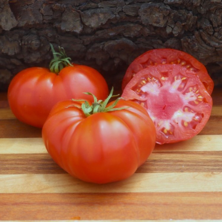 Beefsteak Tomato