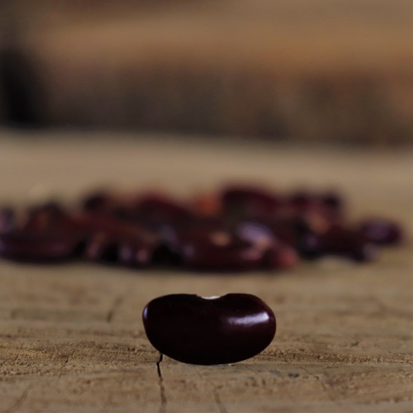 Pakistan Maroon Beans